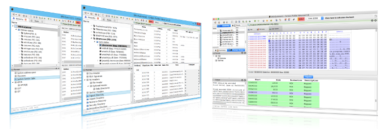 use pe explorer to remove licesence